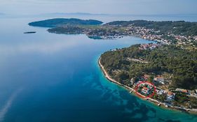 Apartments By The Sea Lumbarda, Korcula - 4446