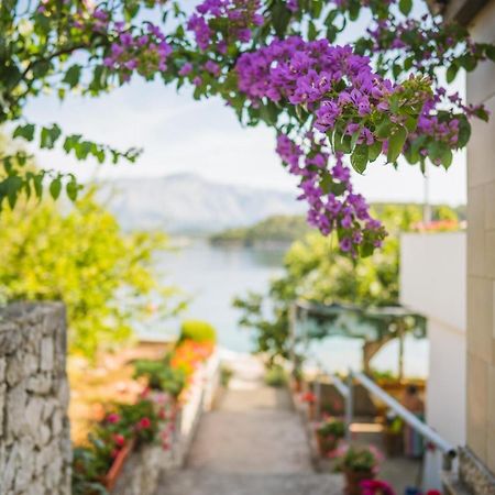 Apartments By The Sea Lumbarda, Korcula - 4446 Extérieur photo