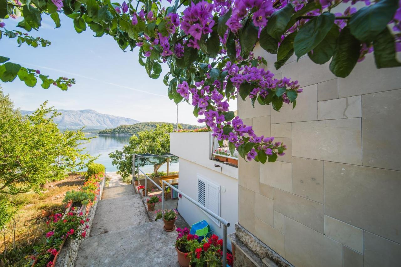Apartments By The Sea Lumbarda, Korcula - 4446 Extérieur photo